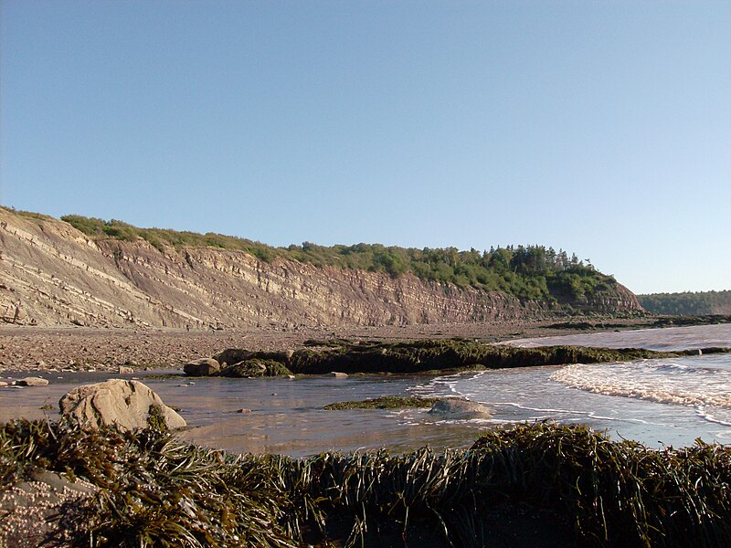 File:Joggins Fossil Cliffs, Joggins, Nova Scotia 01.jpg