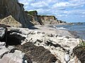 Gedser Odde coastline