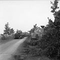 Sherman tanks of the Irish Guards Group advance during Operation 'Market-Garden', 17 September 1944.