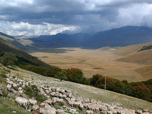 Piani di Castelluccio, Settembre 2006