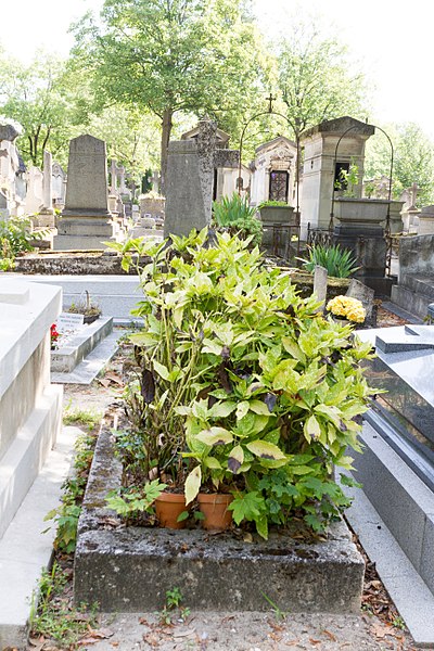 File:Père-Lachaise - Division 44 - Menou 01.jpg