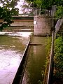 Birth of Auer Muehlbach from Isar canal (on the right)