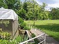 Palace garden with aviary / Schlosspark mit Voliere (the palace is destroyed)