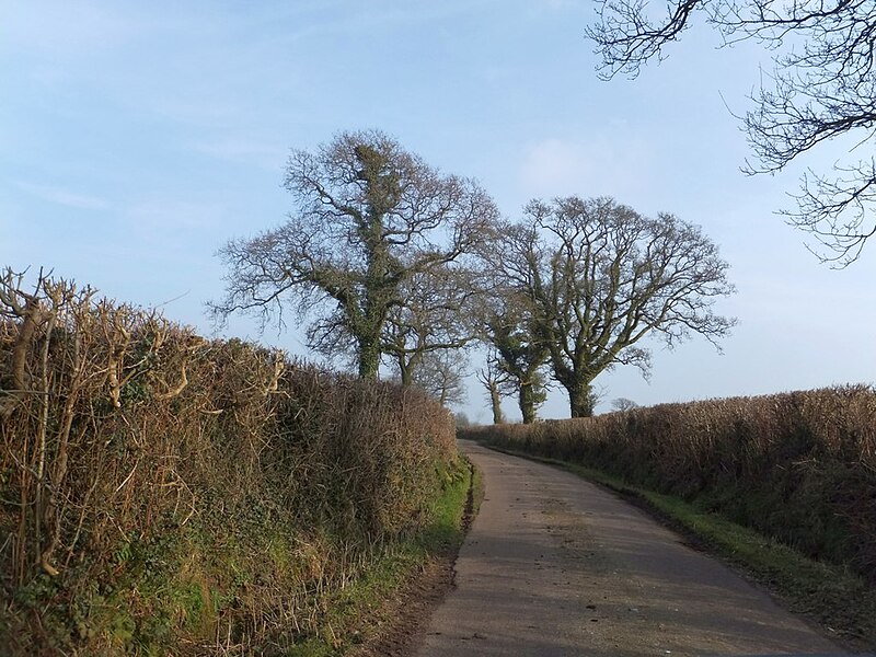 File:Greenway Lane - geograph.org.uk - 3361304.jpg