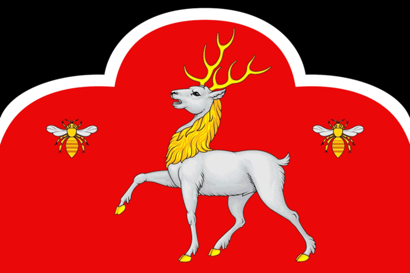 File:Flag of Bolshanskoe.png