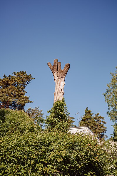 File:Still standing (52990520186).jpg