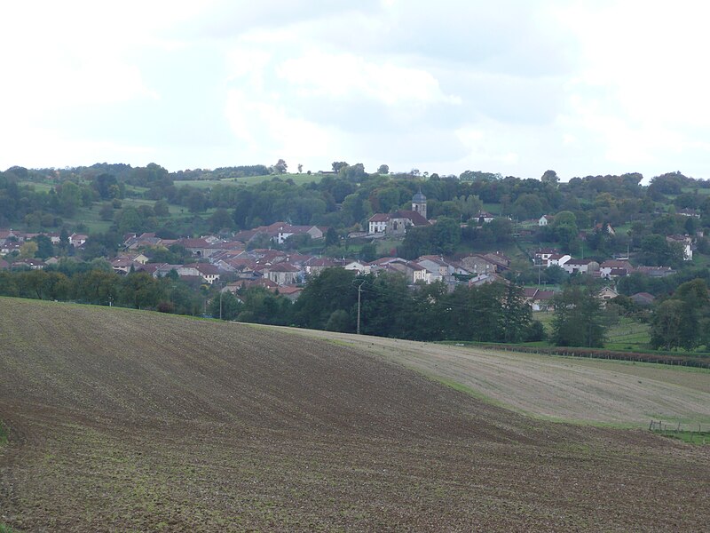 File:Bleurville.jpg