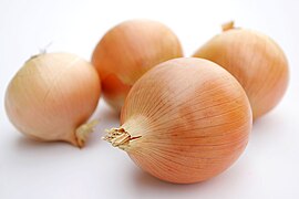 Onions (Allium cepa)