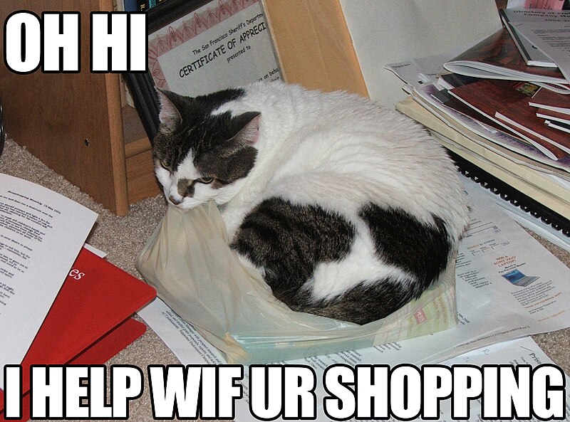 File:Shopping lolcat.jpg