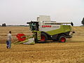 Weizenernte mit einem Mähdrescher (wheat harvest with combine harvester)