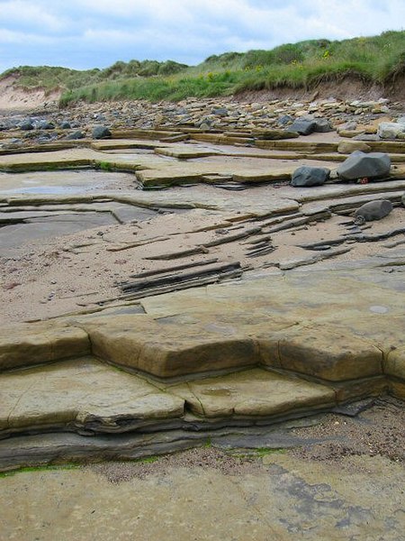 File:Rocky Layers - geograph.org.uk - 573732.jpg