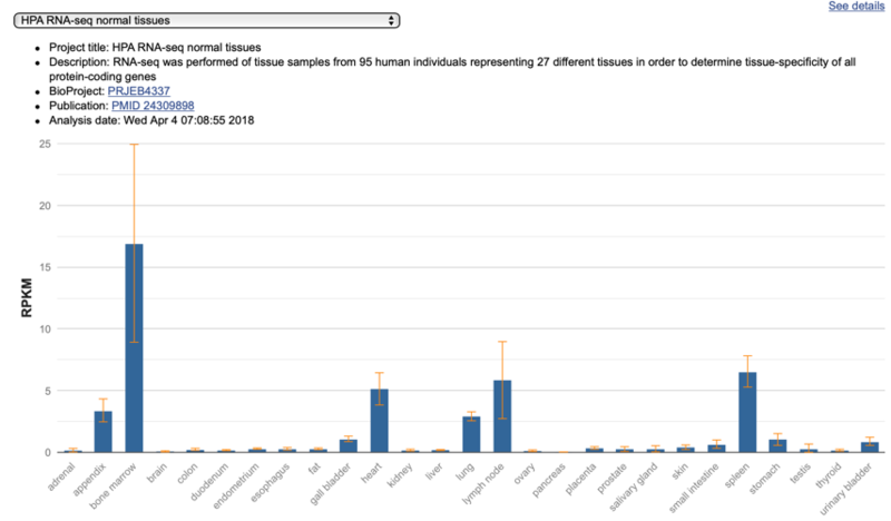 File:Gene Expression - Homo sapien Adults.png