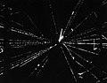 A proton-antiproton collision at 540 GeV, UA5 experminent, 1982.