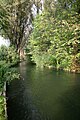 at the allotment gardens in Untergiesing