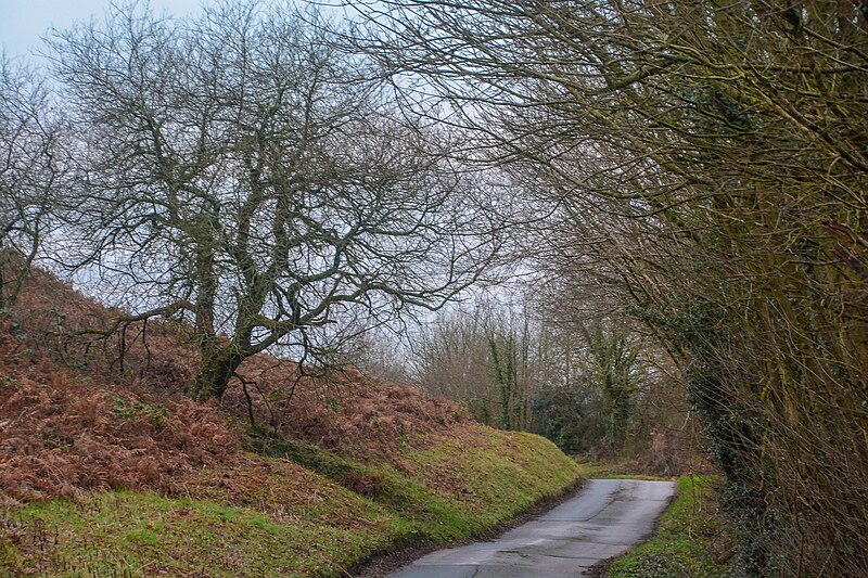 File:Luppitt , Country Lane - geograph.org.uk - 6366742.jpg