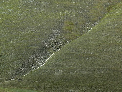 Piani di Castelluccio