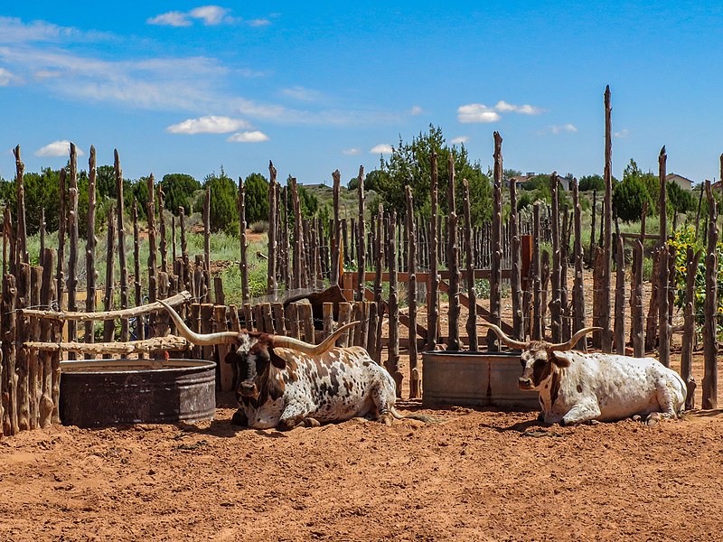 File:Pipe Spring National Monument 6.jpg