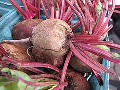 Beets (Beta vulgaris)