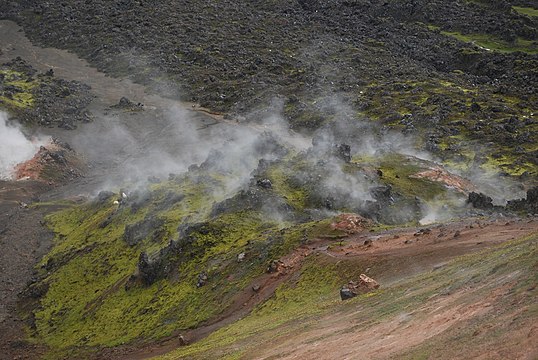 Fumaroles at Brennisteinsalda (2)