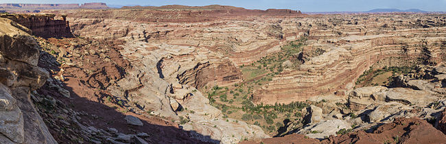 Maze overlook