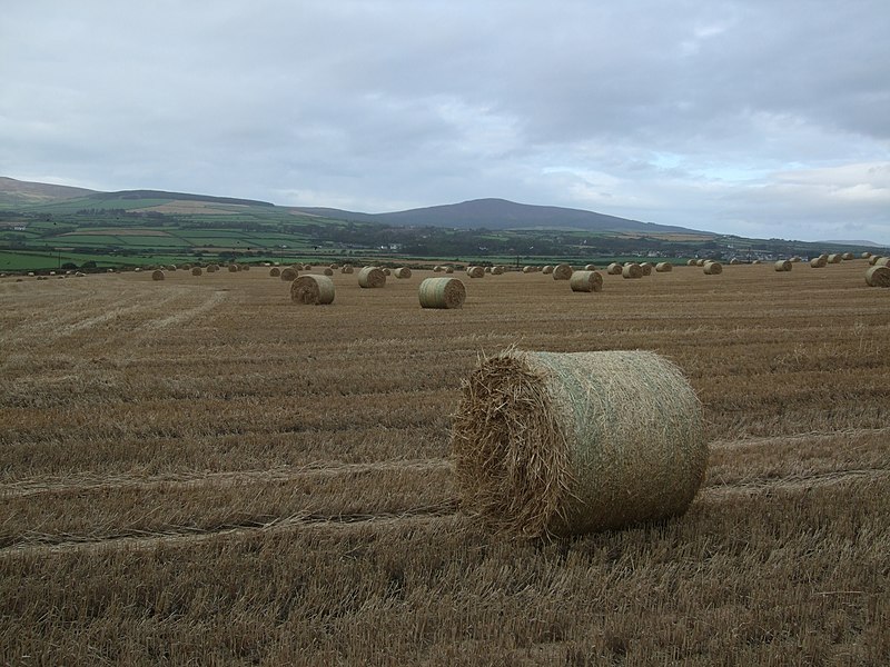 File:Hay bales - geograph.org.uk - 2596045.jpg