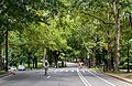 Street in Central Park