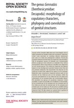 Thumbnail for File:The genus Gennadas (Benthesicymidae - Decapoda) - morphology of copulatory characters, phylogeny and coevolution of genital structures.pdf