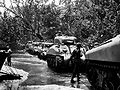 M4A1 tanks at Cape Gloucester.