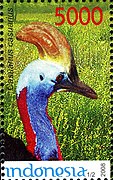 Stamp of Indonesia - 2008 - Colnect 385159 - Southern Cassowry Casuarius casuarius.jpeg