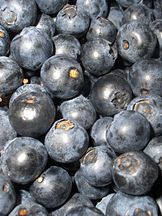 European blueberries