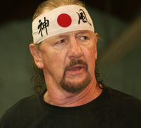 TerryFunk2013Cropped.png