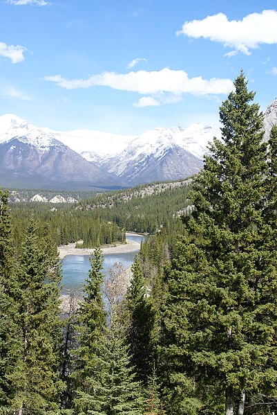 File:Upper reaches of the Bow River, Alberta -b.jpg