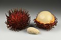 50 Rambutans with seed uploaded by Iifar, nominated by Iifar,  14,  0,  0