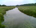 Oberlauf der Eider bei Molfsee