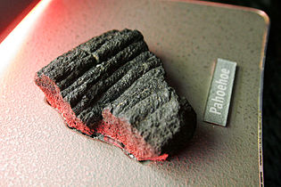 Pahoehoe volcanic rock, Questacon, Canberra