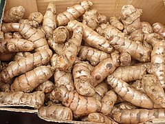 Turmeric (Curcuma longa)