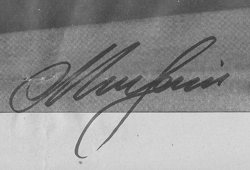 File:Nicola Larini signature.jpg