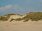 Dünen in Schoorl aan Zee