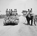 The crew of a Sherman tank of the 9th Royal Deccan Horse, 255th Indian Tank Brigade, encounter a newly liberated elephant on the road to Meiktila, 29 March 1945.