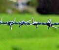 Barbed wire fence detail