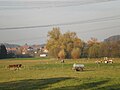 Das Lahntal zwischen Marburg und Gießen