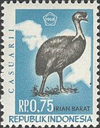 Stamp of Indonesia - 1968 - Colnect 302624 - Northern Cassowary Casuarius unappendiculatus.jpeg