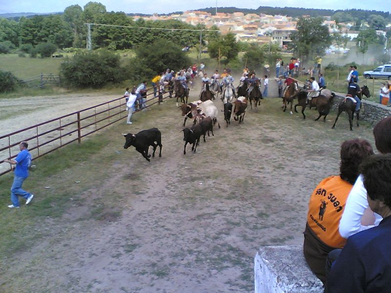 File:Encierro 2006.jpg