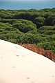 Bolonia, Cádiz, Spain