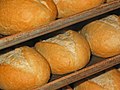 Thumbnail for File:Bread-rolls.jpg