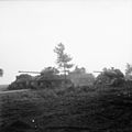 A Sherman Firefly tank of the Irish Guards Group advances past Sherman tanks knocked out earlier during Operation 'Market-Garden', 17 September 1944.