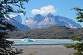 Lago Grey, Torres del Paine National Park