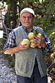 Man with quince, Altınyaka, Kumluca, Turky