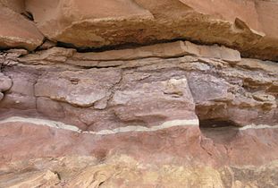 Closeup of Organ Rock Shale