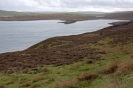 Coastline on the west shore of Vidlin Voe - geograph.org.uk - 2360896.jpg